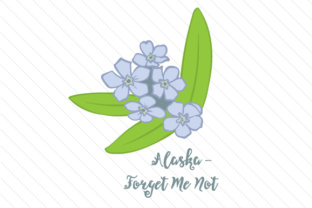 State Flower Alaska Forget Me Not: A Crafts & State Flowers Review