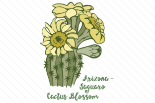 State Flower Arizona Saguaro Cactus Blossom for Crafts & State Flowers