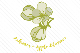State Flower Arkansas Apple Blossom for Crafts and State Flowers