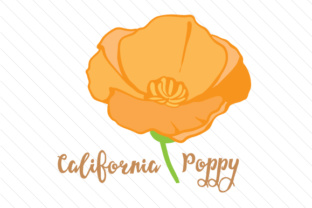 State Flower California Poppy for Crafts and State Flowers