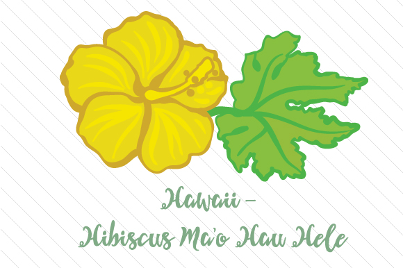 State Flower Hawaii Hibiscus Ma O Hau Hele for Crafts