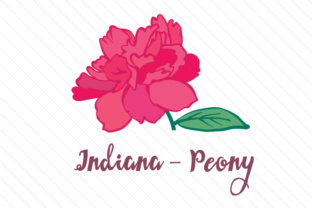 State Flower Indiana Peony for Crafts and State Flowers