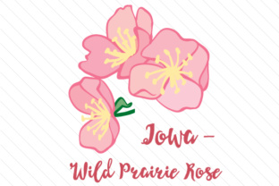 State Flower Iowa Wild Prairie Rose: Crafts & Branding Review