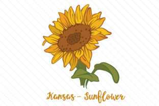 State Flower Kansas Sunflower: Crafts & State Flowers Asset Review