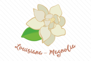 State Flower Louisiana Magnolia