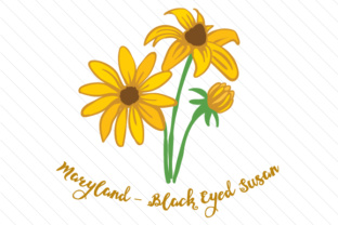 State Flower Maryland Black Eyed Susan for Crafts and State Flowers