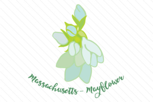 State Flower Massachusetts Mayflower Crafts Review