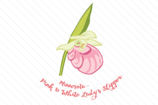 State Flower Minnesota Pink and White Lady S Slipper for Crafts
