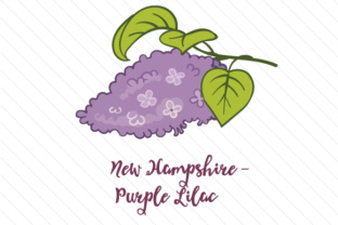 State Flower New Hampshire Purple Lilac for Crafts and State Flowers