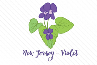 State Flower New Jersey Violet