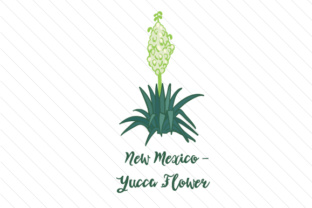 State Flower New Mexico Yucca Flower