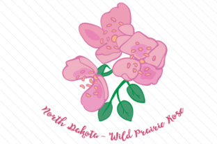 State Flower North Dakota Wild Prairie Rose for Crafts