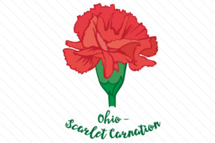 State Flower Ohio Scarlet Carnation for Crafts and State Flowers
