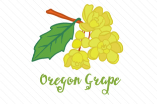 State Flower Oregon Grape for Crafts and State Flowers