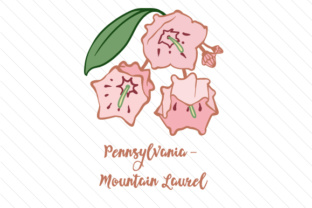State Flower Pennsylvania Mountain Laurel for Crafts & State Flowers