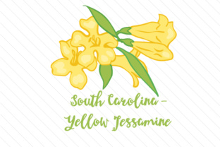 State Flower South Carolina Yellow Jessamine for Crafts