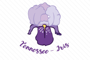 State Flower Tennessee Iris for Crafts & State Flowers