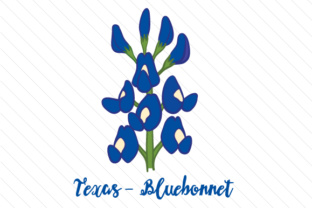 State Flower Texas Bluebonnet Review