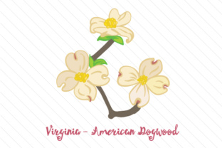 State Flower Virginia American Dogwood Embroidery Review