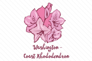 State Flower Washington Coast Rhododendron for Crafts and State Flowers