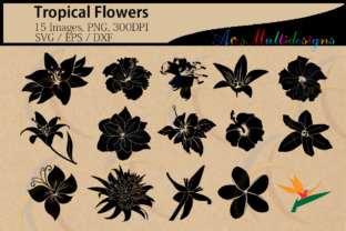 Tropical Flowers Silhouette: Graphics & Crafts for Local Brands