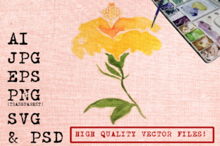Yellow Hibiscus Flowers Watercolors for Graphics & Illustrations